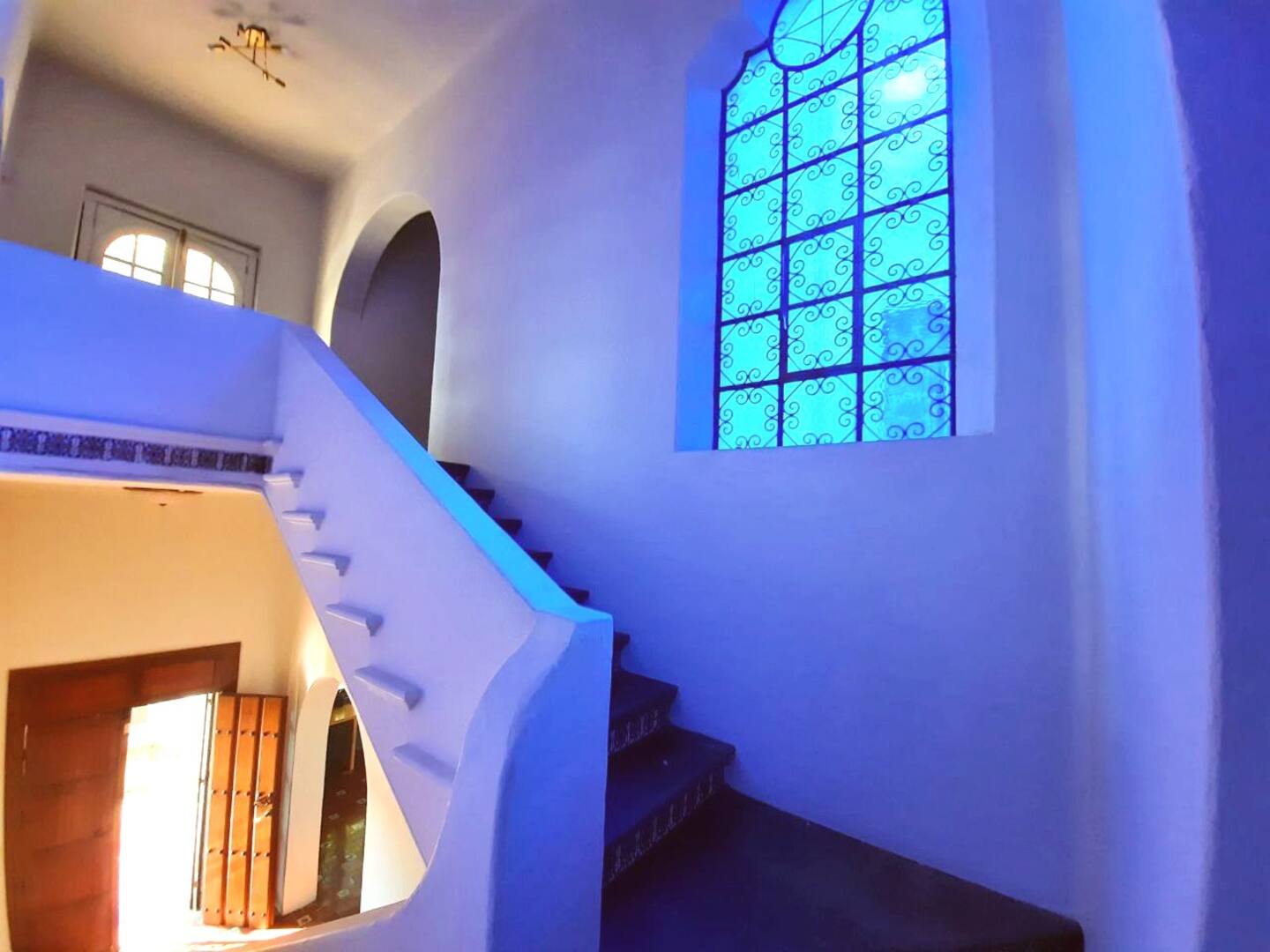 Coliving Community in Colonia Americana